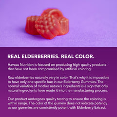 Adult daily immune health gummies for daily defense