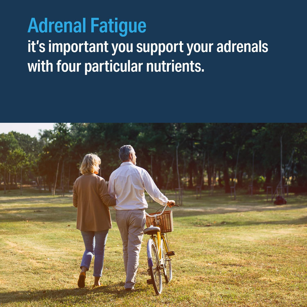 Liver concentrate ingredient illustration for Advanced Adrenal Factor