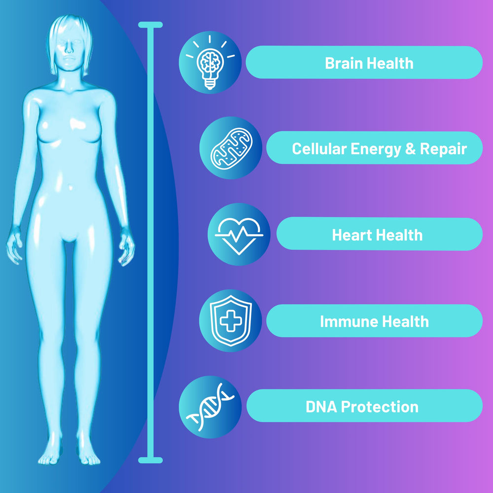 Close-up of bottle label showing NR, Resveratrol, Quercetin and Betaine
