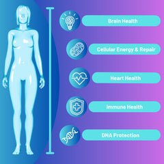 Close-up of bottle label showing NR, Resveratrol, Quercetin and Betaine