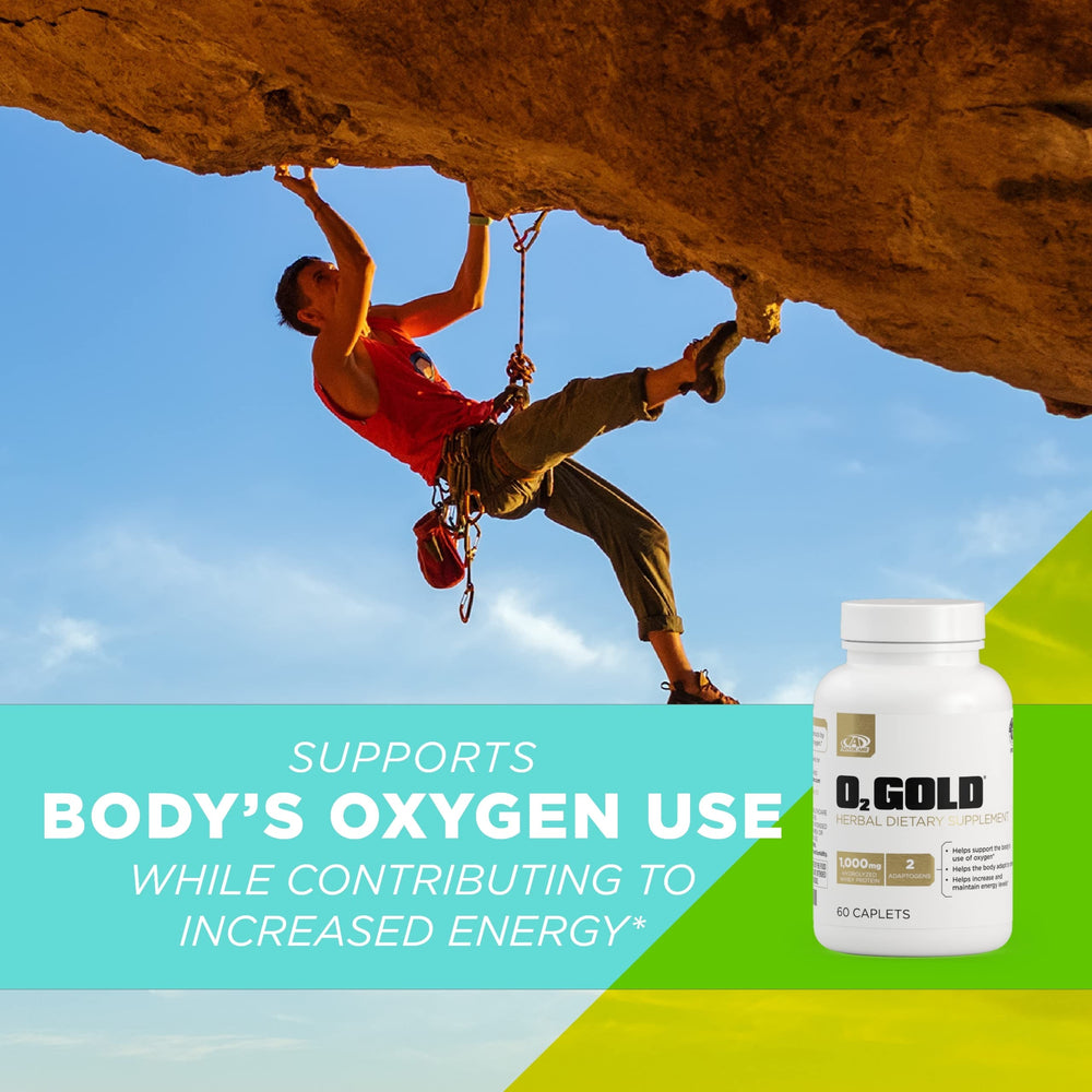 Rhodiola rosea root adaptogen for O2 Gold
