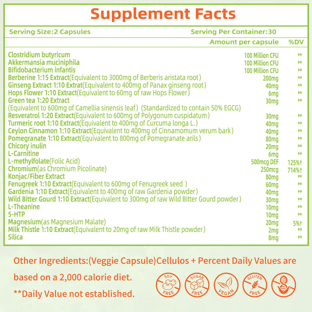Overall gut health, energy, and metabolism support visuals