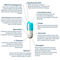 Smooth vegan capsules of AEON