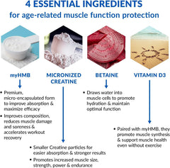 Close-up of creatine monohydrate and HMB powder