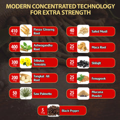 agobi ingredients panel highlighting panax ginseng and ashwagandha for daily vitality