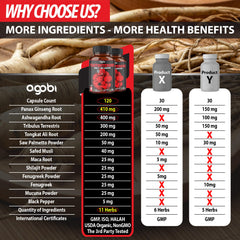 agobi ingredients panel highlighting panax ginseng and ashwagandha for daily vitality