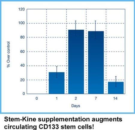 Graphic illustration of stem cells and vascular health