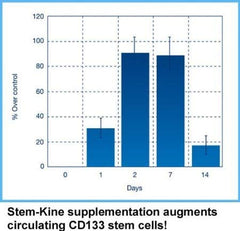 Graphic illustration of stem cells and vascular health