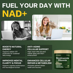Graphic illustrating liposomal delivery and NAD+ support