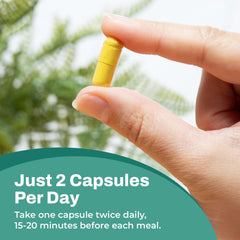 Berberine Plus nutrition facts panel mockup