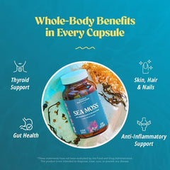 Product packaging label with vegan and gluten free claims