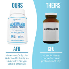 Enzymes bromelain, papain, lipase imagery