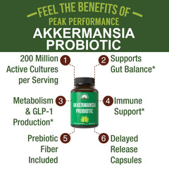 Close-up of delayed-release Akkermansia capsules