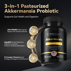 DigeSEB digestive enzymes and Vitamin B supplement graphic