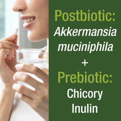Graphic illustrating GLP-1 support and gut health