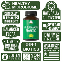 Chicory inulin prebiotic fiber ingredient image