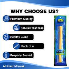 Multi-purpose Miswak stick for cleaning gums and teeth