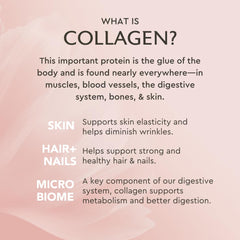 Ingredients panel of Alaya Vanilla Multi Collagen