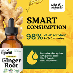 Alcohol-free ginger tincture in dropper bottle