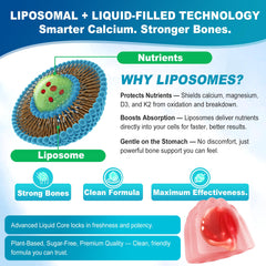 Ocean-sourced algae calcium illustration