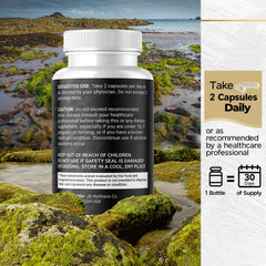 All-in-one wellness Sea Moss capsules for women and men