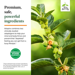 Allergen-friendly energy supplement free from sugar, gluten and dairy