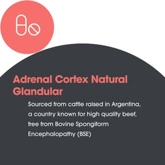 100-count bottle close-up