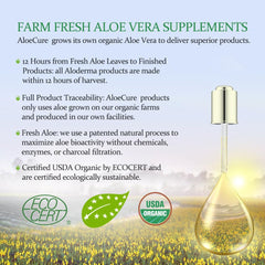 Graphic of aloe leaf and natural ingredients on packaging