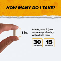 Alpha Brain ingredients: L-theanine, Alpha GPC, Bacopa, Huperzia Serrata