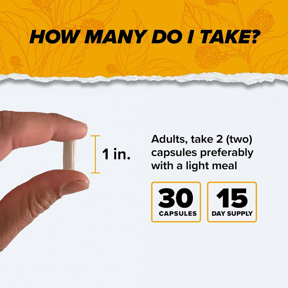 Graphic illustrating memory and mental clarity from Alpha Brain