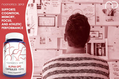 Alpha GPC capsules with lab-testing seal