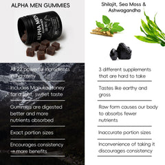 Ingredients including Shilajit, Sea Moss and Ashwagandha