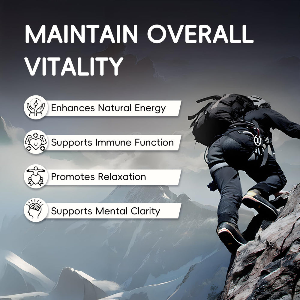 Organic Manuka Honey flavored Alpha Gummies for Men