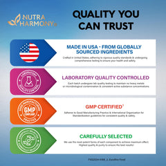 Vitamins B1 and B12 ingredients beside ALA