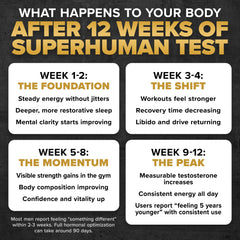 ALPHA LION Superhuman Test TestoSurge visual demonstrates muscle support and endurance potential.