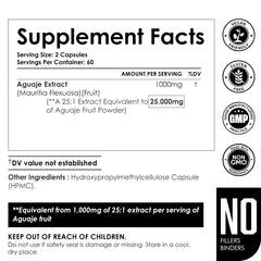 GMP-certified production facility