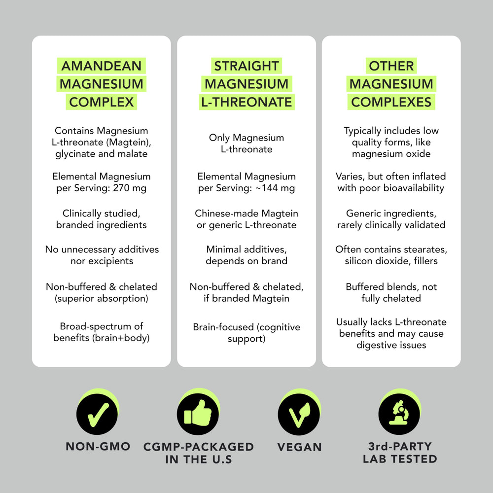 Graphic illustrating brain health and cognitive support