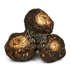 Amazon Andes Black Maca farm field illustrates Peruvian origin