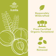 Close-up of amla capsules