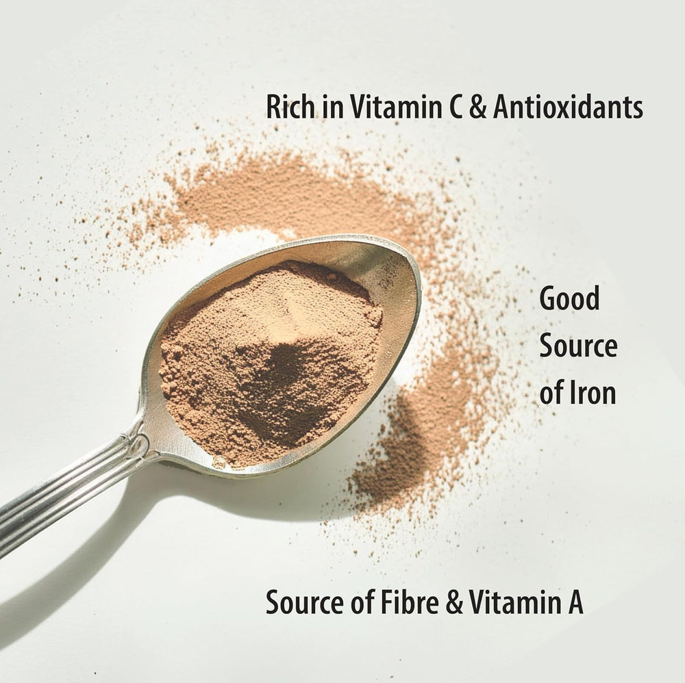 Graphic showing ingredients of amla berry powder 100 organic
