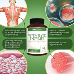 Illustration of digestive support via proteolytic enzymes