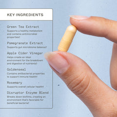 Illustration of Green Tea Extract and Pomegranate Extract