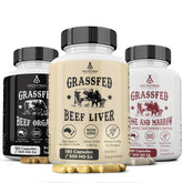 Organs Starter Pack – hero product image