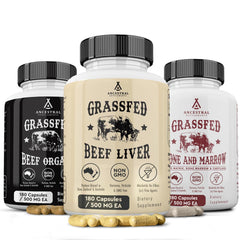 Organs Starter Pack – hero product image