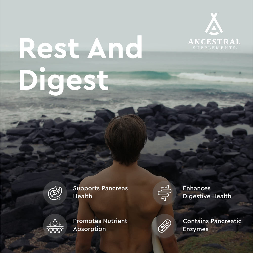 Graphic depicting digestive enzymes lipase, protease, trypsin, and amylase