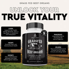 Grass-fed beef heart supplement - 600mg per serving with CoQ10