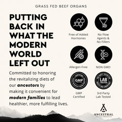 Grass-fed beef pancreas supplement - 600mg enzyme source for digestion