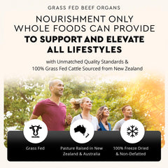Grass-fed beef spleen supplement - 600mg heme iron for immune support