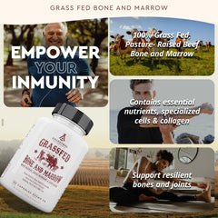 Graphic illustrating whole-body wellness