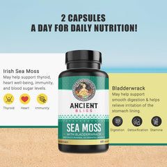 Arrangement of sea moss and bladderwrack for supplement